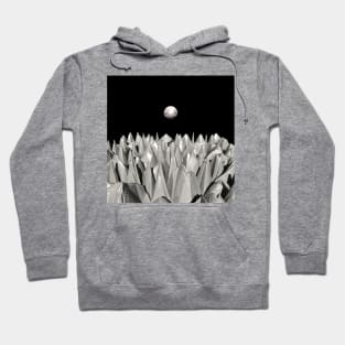 Other Worlds Hoodie